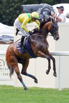 June 17, 2026, Ascot, Windsor, GBR Celtic Dispute bucks with Christophe Soumillon on the way to the start at Ascot Racecourse Horse, Jockey, Celtic Dispute, Soumillon, bucking, rearing, gallop 260617D532ROYAL ASCOT JPG,detected_source_language