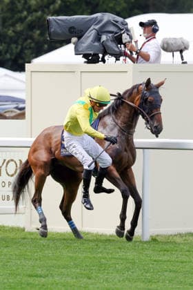 June 17, 2026, Ascot, Windsor, GBR Jockey Christophe Soumillon falls from Celtic Dispute on the way to the starting gate at Ascot Racecourse Horse, Jockey, Celtic Dispute, Soumillon, bucking, falling, rearing, warm-up 260617D533ROYAL ASCOT JPG,detected_source_language