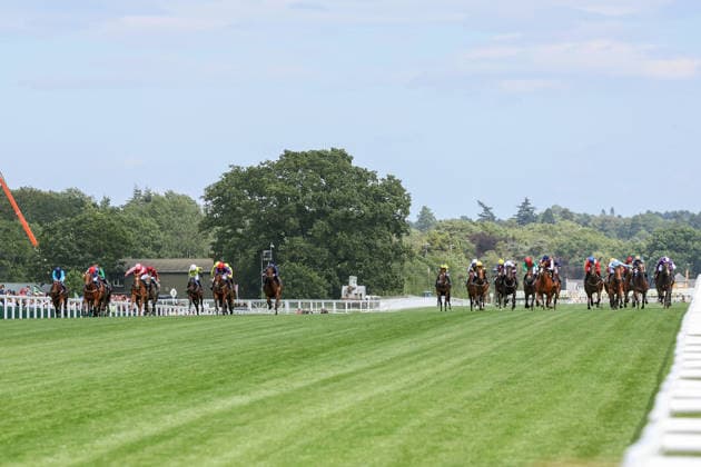 Equestrian sports, horse racing, Royal Ascot