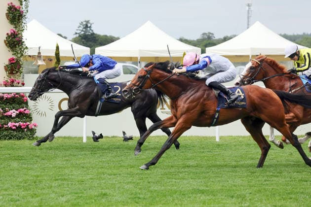 June 17, 2026, Ascot, Windsor, GBR