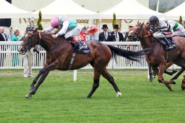 June 17, 2026, Ascot, Windsor, GBR
