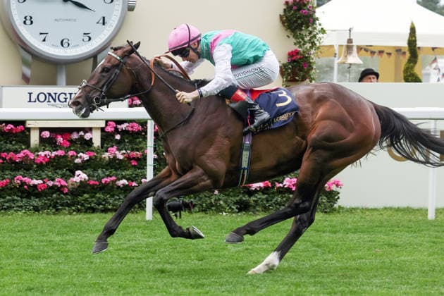 June 17, 2026, Ascot, Windsor, GBR