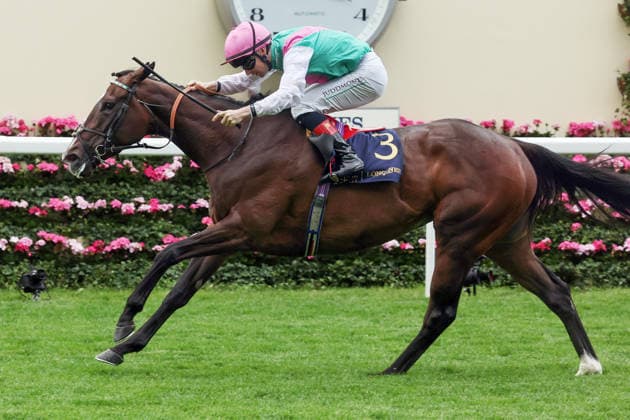 June 17, 2026, Ascot, Windsor, GBR