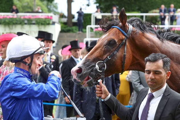 June 17, 2026, Ascot, Windsor, GBR Ombudsman with William Buick after winning the Prince of Waless Stakes at Ascot Racecourse Horse, Jockey, Ombudsman, Buick, Victory 260617D578ROYAL ASCOT JPG,detected_source_language