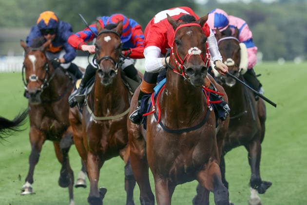 June 17, 2026, Ascot, Windsor, GBR