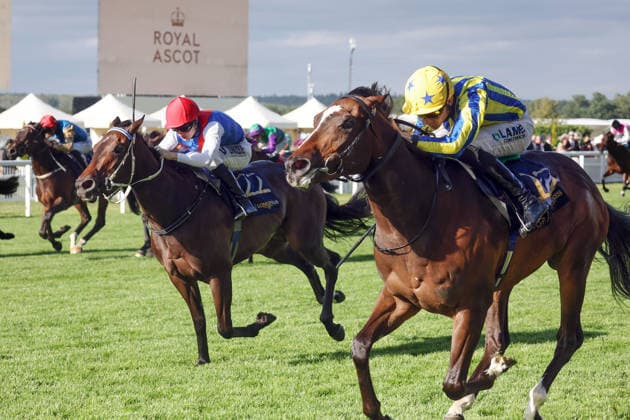 June 17, 2026, Ascot, Windsor, GBR King Of Cloughan, ridden by Billy Loughnane, wins the Windsor Castle Stakes at Ascot Racecourse Horse, Jockey, King of Cloughan, Loughnane, Victory, Finish, Finish Line 260617D610ROYAL ASCOT JPG,detected_source_language
