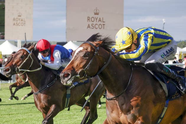 June 17, 2026, Ascot, Windsor, GBR King Of Cloughan, ridden by Billy Loughnane, wins the Windsor Castle Stakes at Ascot Racecourse Horse, Jockey, King of Cloughan, Loughnane, Victory, Finish, Finish Line 260617D611ROYAL ASCOT JPG,detected_source_language