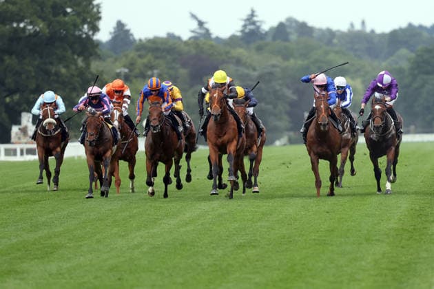 Equestrian sports, horse racing, Royal Ascot