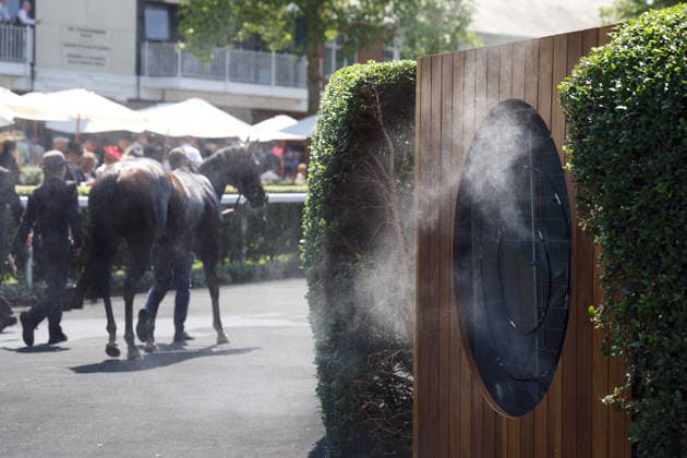 June 19, 2026, Ascot, Windsor, GBR Horse cooling down after a race with cold water and fresh air at Ascot Racecourse; horse, cooling down, cooling, heat, hot, summer heat, water, refresh, refreshment, air, fan 260619D516ROYAL ASCOT JPG,detected_source_language