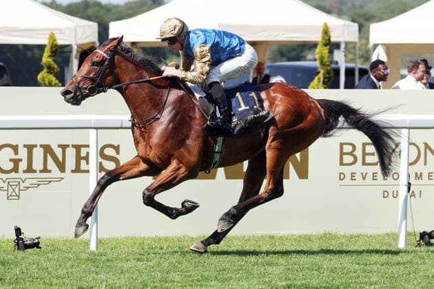 June 19, 2026, Ascot, Windsor, GBR