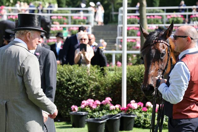 June 19, 2026, Ascot, Windsor, GBR King Charles III takes a look at his horse Warrant Holder, who finished second in the Duke of Edinburgh Stakes at Ascot Racecourse. Horse, Warrant Holder, King Charles 260619D545ROYAL ASCOT JPG,detected_source_language