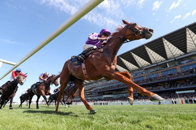June 19, 2026, Ascot, Windsor, GBR