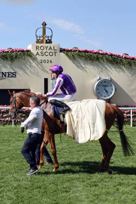 June 19, 2026, Ascot, Windsor, GBR