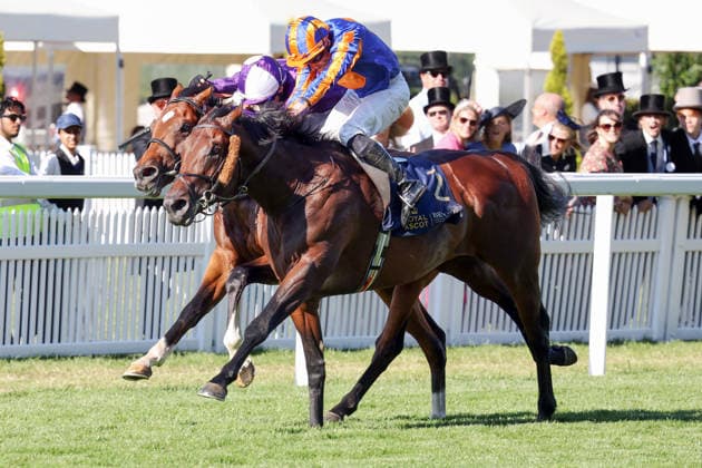 June 19, 2026, Ascot, Windsor, GBR