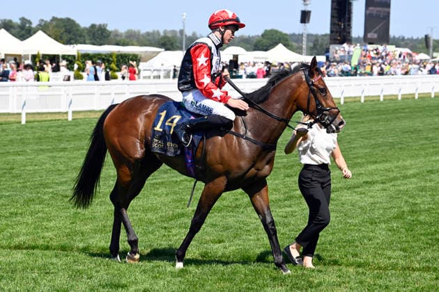 June 19, 2026, Ascot, Windsor, GBR Libertango with Billy Loughnane aboard after winning the Albany Stakes at Ascot Racecourse Horse, Jockey, Libertango, Loughnane, Victory 260619C904ROYAL ASCOT JPG,detected_source_language