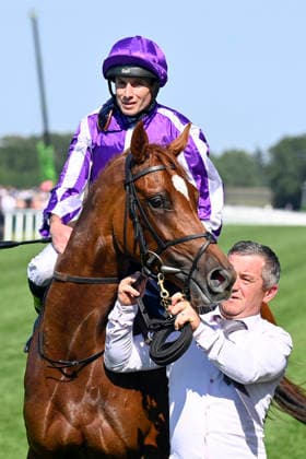 June 19, 2026, Ascot, Windsor, GBR