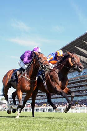 June 19, 2026, Ascot, Windsor, UK