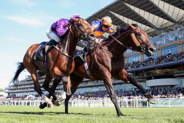 June 19, 2026, Ascot, Windsor, UK