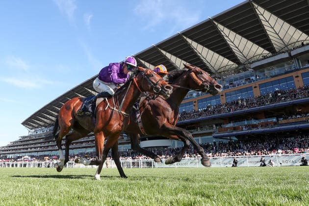 June 19, 2026, Ascot, Windsor, UK