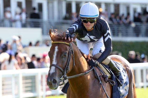 June 19, 2026, Ascot, Windsor, GBR