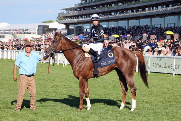 June 19, 2026, Ascot, Windsor, GBR Bacio with Juan Hernandez aboard after winning at Ascot Racecourse Horse, Jockey, Bacio, Hernandez, Victory 260619D587ROYAL ASCOT JPG,detected_source_language