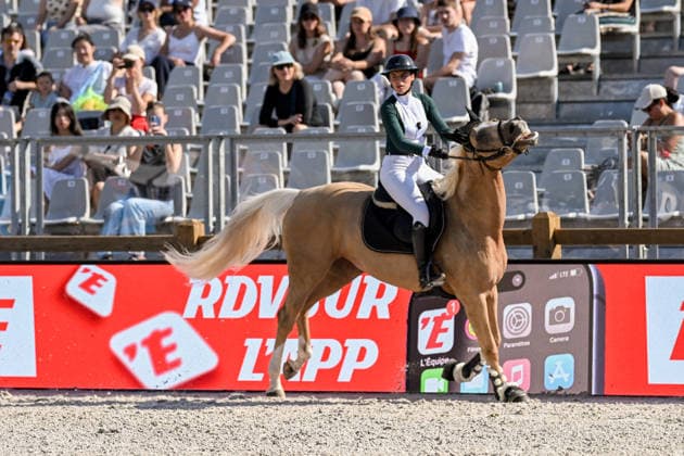 Eva Bouchut sur Heidi de Bacon participe au Prix Lagree France de de la 12ème édition Longines Paris Eiffel Jumping au pied de la Tour Eiffel sur le Champ-de-Mars à Paris, France, le 19 juin 2026. Perusseau-Veeren Bestimage Lagree France Prize during the 12th edition of the Longines Paris Eiffel Jumping at Champ-de-Mars near Eiffel Tower in Paris, France, on June 19, 2026. Paris France  Copyright: xPerusseau-Veerenx xBestimagexPerusseau-Veerenx xBestimagex