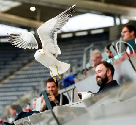Sports Pictures of the Day