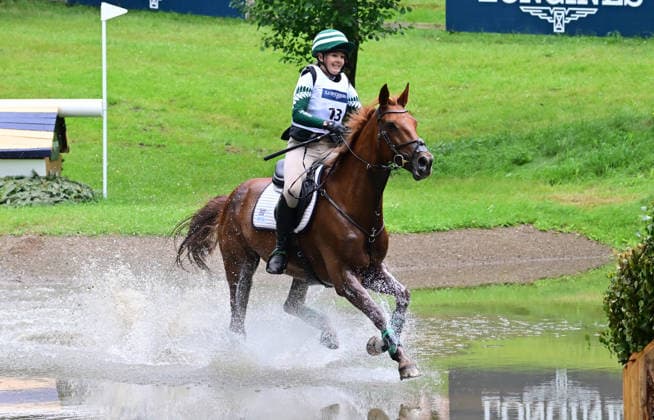 Equestrian sports, eventing in Luhmühlen, cross-country test