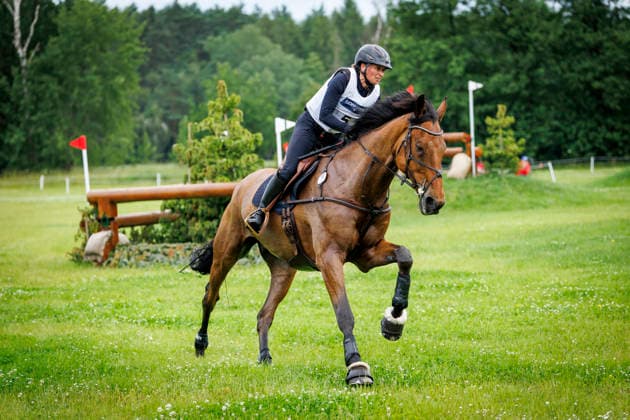 LUHMÜHLEN Longines Horse Trail 2026, LUHMÜHLEN Longines Horse Trail 2026 MEYER Katharina GER, Aspen T CCI5 L Cross Country Luhmühlen, Competition Grounds, June 20, 2026,detected_source_language