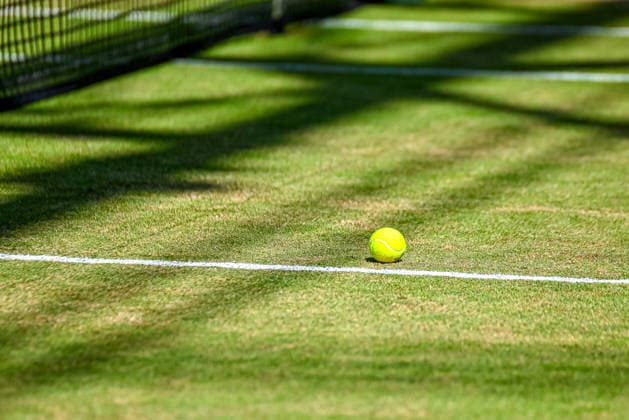 Symbolfoto Rasentennis, Ball auf Rasen mit Linien und Netz TERRA WORTMANN Open 2026, Tennis, ATP, Tennis Herren Tennis Herren 500, Turnier, Hauptfeld, Halbfinale, 20.06.2026, TERRA WORTMANN Open 2026, Tennis, ATP, Tennis Herren 500, Turnier, Hauptfeld, Halbfinale, 20.06.2026 Halle *** Stock photo of grass tennis, ball on grass with lines and net TERRA WORTMANN Open 2026, Tennis, ATP, Mens 500, Tournament, Main Draw, Semifinals, June 20, 2026, TERRA WORTMANN Open 2026, Tennis, ATP, Men’s 500, Tournament, Main Draw, Semifinals, June 20, 2026, Indoor,detected_source_language Copyright: xEibner-Pressefoto RobertxGertzenx EP_RGN
