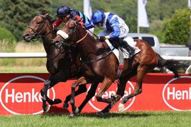 Equestrian sports, horse racing, race day in Düsseldorf-Grafenberg