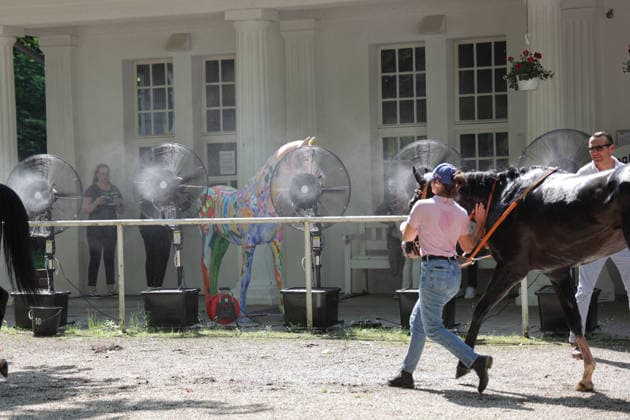 June 20, 2026, Düsseldorf, North Rhine-Westphalia, GER Fans and mist sprayers keep the horses cool in the unsaddling ring at the Düsseldorf Grafenberg Racetrack Horse, fans, mist, refresh, refreshment, cool down, cooling, heat, heat wave, hot, summer heat 260620SG709DUESSELDORF JPG,detected_source_language