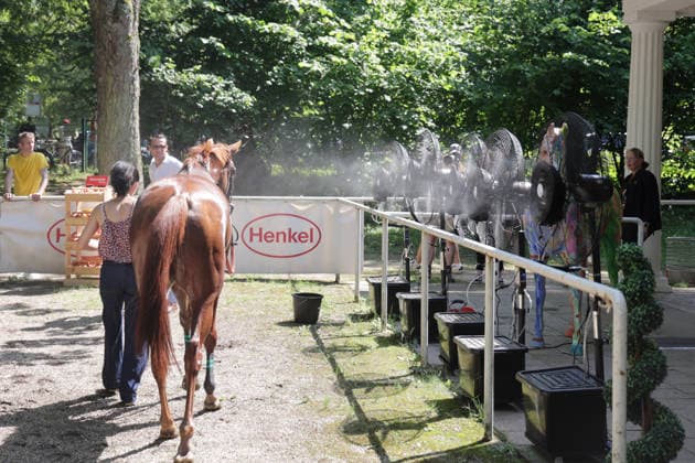 June 20, 2026, Düsseldorf, North Rhine-Westphalia, GER Fans and mist sprayers keep the horses cool in the saddling ring at the Düsseldorf Grafenberg Racetrack Horse, fans, mist, refresh, refreshment, cool down, cooling, heat, heat wave, hot, summer heat 260620SG710DUESSELDORF JPG,detected_source_language