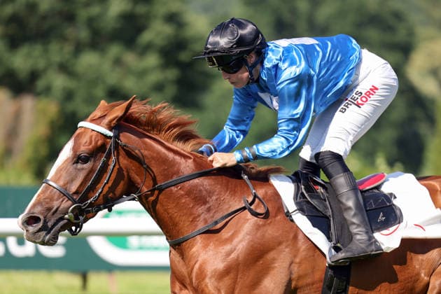 June 20, 2026, Düsseldorf, North Rhine-Westphalia, GER Night Breath, ridden by Sibylle Vogt, wins the Diana Trial at the Düsseldorf Grafenberg Racetrack Horse, jockey, Night Breath, Vogt, victory, finish line, finish 260620SG725DUESSELDORF JPG,detected_source_language