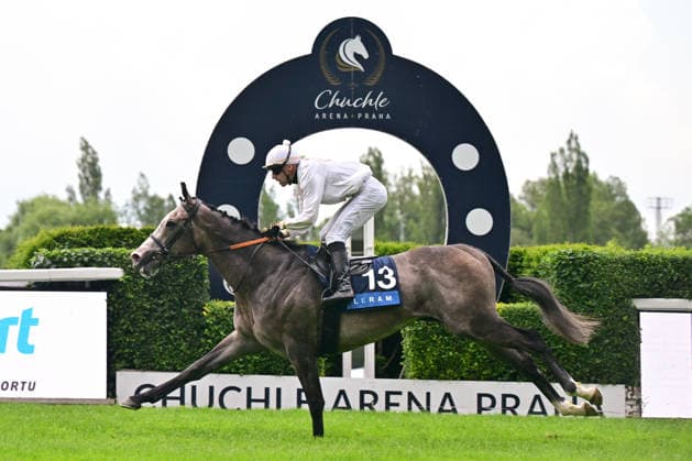 Equestrian sports, horse racing, the Czech Derby in Prague