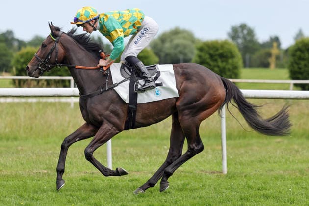 21.06.2026, Dortmund, Nordrhein-Westfalen, GER - Arabia mit Benjamin Marie beim Aufgalopp. Galopprennbahn Dortmund-Wambel. (Pferd, Jockey, Arabia, Marie, Aufgalopp) 260621SG902DORTMUND.JPG *** June 21, 2026, Dortmund, North Rhine-Westphalia, GER