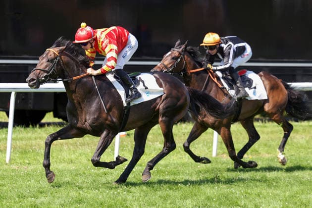 21.06.2026, Dortmund, Nordrhein-Westfalen, GER - Best Lightning mit Benjamin Marie gewinnt den 37. Preis der Wirtschaft. Galopprennbahn Dortmund-Wambel. (Pferd, Jockey, Best Lightning, Marie, Sieg, Ziel, Zielankunft) 260621SG921DORTMUND.JPG *** June 21, 2026, Dortmund, North Rhine-Westphalia, GER Best Lightning, ridden by Benjamin Marie, wins the 37th Preis der Wirtschaft at the Dortmund-Wambel Racetrack Horse, jockey, Best Lightning, Marie, victory, finish line, finish 260621SG921DORTMUND JPG,detected_source_language
