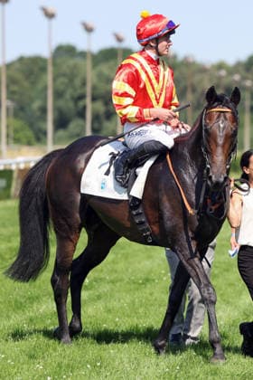 21.06.2026, Dortmund, Nordrhein-Westfalen, GER - Best Lightning mit Benjamin Marie nach dem Sieg im 37. Preis der Wirtschaft. Galopprennbahn Dortmund-Wambel. (Pferd, Jockey, Best Lightning, Marie, Sieg) 260621SG923DORTMUND.JPG *** June 21, 2026, Dortmund, North Rhine-Westphalia, GER Best Lightning with Benjamin Marie after winning the 37th Preis der Wirtschaft at the Dortmund-Wambel Racetrack Horse, Jockey, Best Lightning, Marie, Victory 260621SG923DORTMUND JPG,detected_source_language