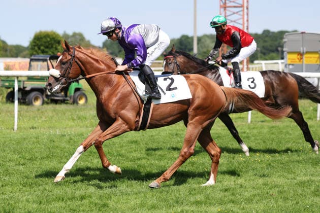 Equestrian sports, horse racing, race day in Dortmund-Wambel