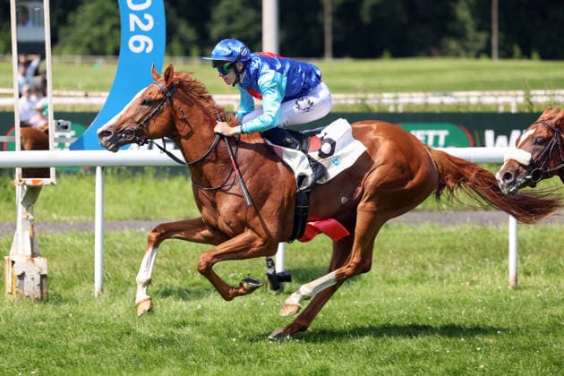 21.06.2026, Dortmund, Nordrhein-Westfalen, GER - Quitos mit Leon Wolff gewinnt. Galopprennbahn Dortmund-Wambel. (Pferd, Jockey, Quitos, Wolff, Sieg, Ziel, Zielankunft) 260621SG994DORTMUND.JPG *** June 21, 2026, Dortmund, North Rhine-Westphalia, GER