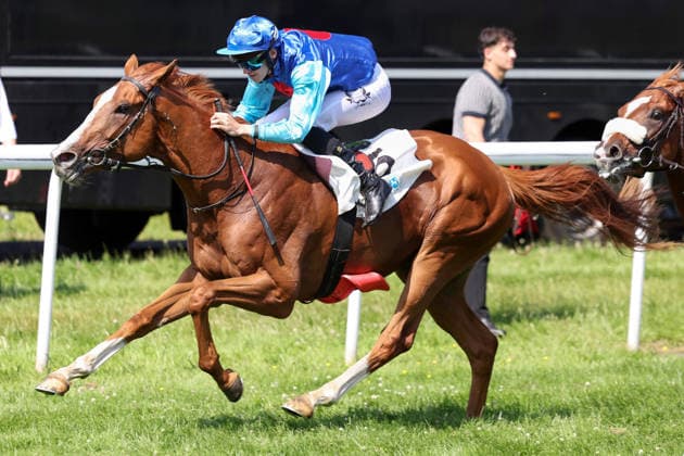 21.06.2026, Dortmund, Nordrhein-Westfalen, GER - Quitos mit Leon Wolff gewinnt. Galopprennbahn Dortmund-Wambel. (Pferd, Jockey, Quitos, Wolff, Sieg, Ziel, Zielankunft) 260621SG996DORTMUND.JPG *** June 21, 2026, Dortmund, North Rhine-Westphalia, GER