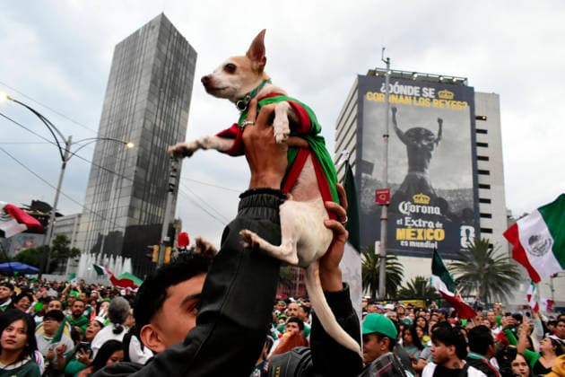 Mexican Supporters Watching The 2026 FIFA World Cup, WM, Weltmeisterschaft, Fussball Match Mexico v Czechia Supporters of Mexico national soccer team watching the 2026 FIFA World Cup match between Mexico and Czechia corresponding to final matchday of Group A at a giant screen on the Angel of Independence on June 24, 2026 in Mexico City, Mexico. (Photo by Luis Barron Eyepix Group) Copyright: xLuisxBarron xEyepixxGroupx LB_24062026_188712