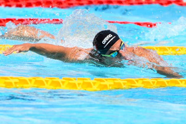 Swimming, the Settecolli Trophy in Rome