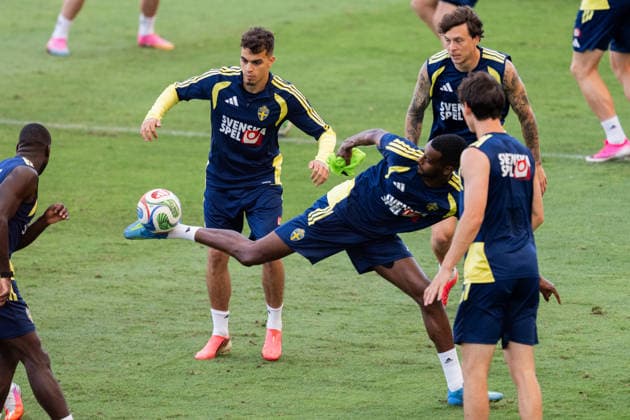 Football, 2026 FIFA World Cup, Sweden national team, training