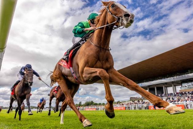 REPRO FREE *PRESS RELEASE NO REPRODUCTION FEE* EDITORIAL USE ONLY 2026 Dubai Duty Free Irish Derby Festival, Curragh Racecourse, Kildare 28 6 2026 Ryan Moore on Benvenuto Cellini wins The Dubai Duty Free Irish Derby (Group 1) Ryan Moore on Benvenuto Cellini 28 6 2026  Copyright: xx 2V7A1000
