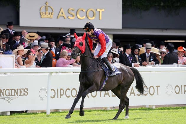 Equestrian sport: King Charles sells his horse Point of Law to Australia for a sum in the millions; archive images