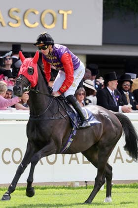 17.06.2026, Ascot, Windsor, GBR - Point of Law with James Doyle. Ascot racecourse. (Pferd, Jockey, Point of Law, Doyle, Aufgalopp) 260617D065xROYAL_ASCOT.JPG *** June 17, 2026, Ascot, Windsor, GBR Point of Law with James Doyle Ascot Racecourse Horse, Jockey, Point of Law, Doyle, Warm-up 260617D065xROYAL ASCOT JPG
