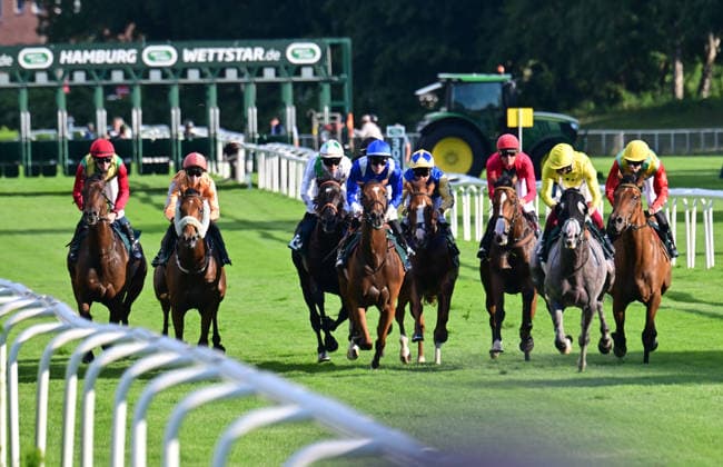 GER; DERBY-MEETING 2026: Hamburger Renn-Club 01.07.2026, GER; DERBY-MEETING 2026: Hamburger Renn-Club Hamburger Wochenblatt-Rennen im Bild das Feld beim Start aus der Box *** GER DERBY MEETING 2026 Hamburg Racing Club July 1, 2026, GER DERBY MEETING 2026 Hamburg Racing Club Hamburg Wochenblatt Races in Pictures: The field at the start from the gate nordphotoxGmbH xWitke nph00002
