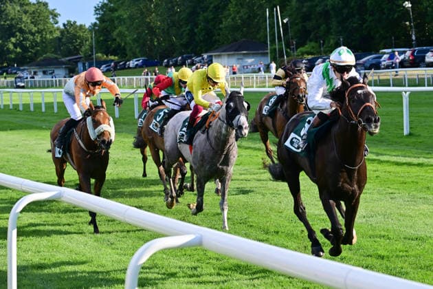 Equestrian sports, horse racing, race day in Hamburg-Horn