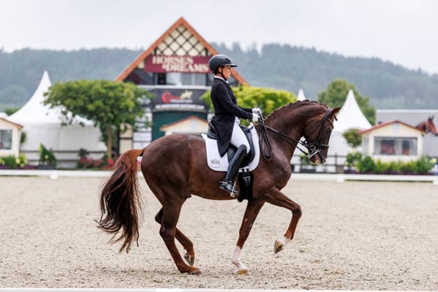 HAGEN a.T.W. - CDIO Nations Cup 2026, HAGEN a.T.W. - CDIO Nations Cup 2026 Covalliero Dressage Days 2026 WERTH Isabell (GER), Viva Gold OLD CDI4* - Grand Prix LetÂ sGet Hooved Prize Hagen a.T.W., Hof Kasselmann 02. July 2026 - *** HAGEN a T W CDIO Nations Cup 2026, HAGEN a T W CDIO Nations Cup 2026 Covalliero Dressage Days 2026 WERTH Isabell GER, Viva Gold OLD CDI4* Grand Prix Let’s Get Hooved Prize Hagen a T W, Hof Kasselmann July 2, 2026